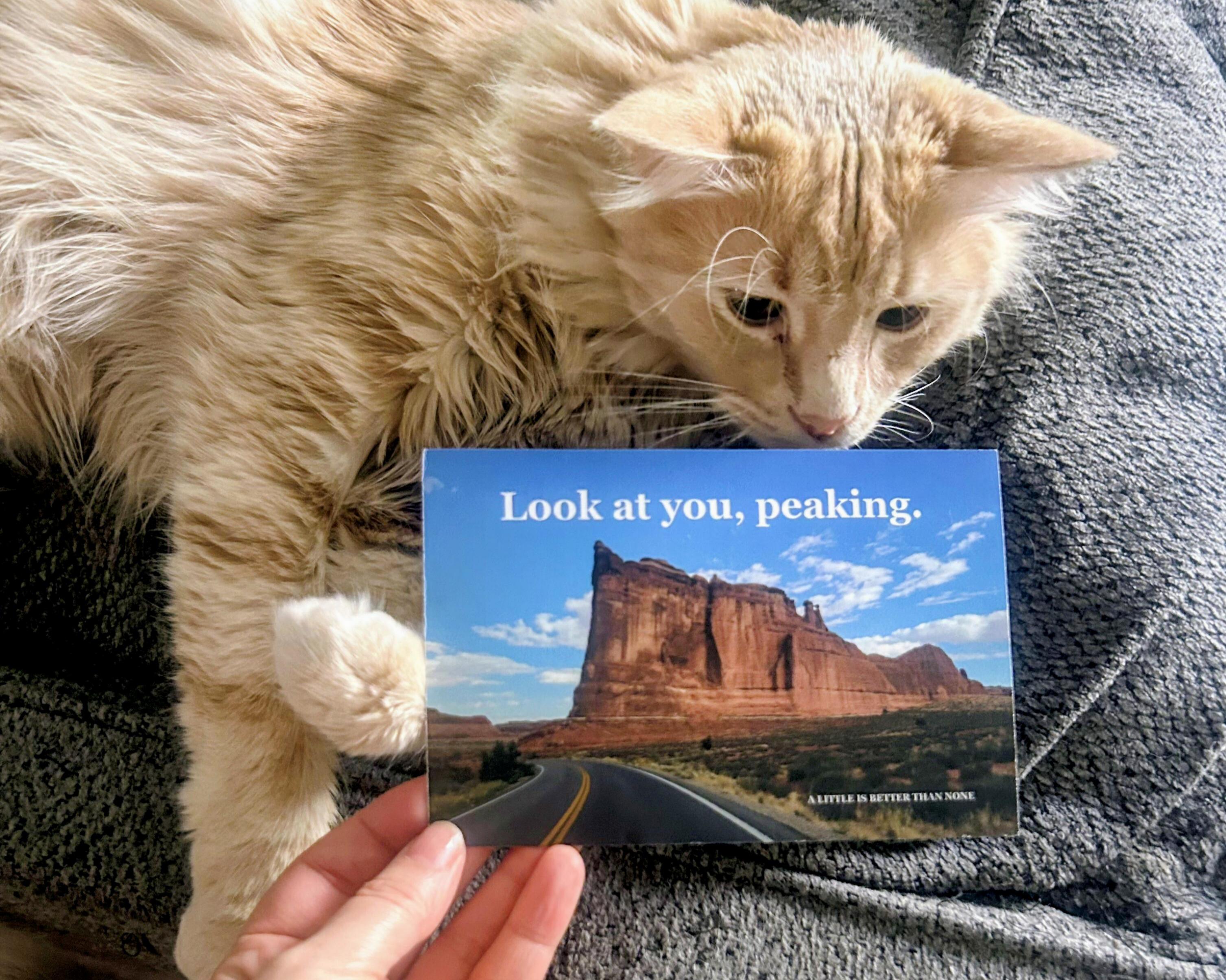 Vincent holding a postcard